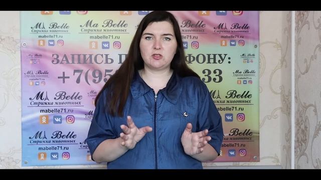 как я работаю с кошками