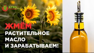 Производство и реализация растительного масла это выгодный бизнес.