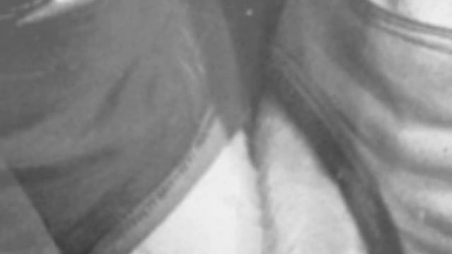 Животные в космосе смотреть онлайн