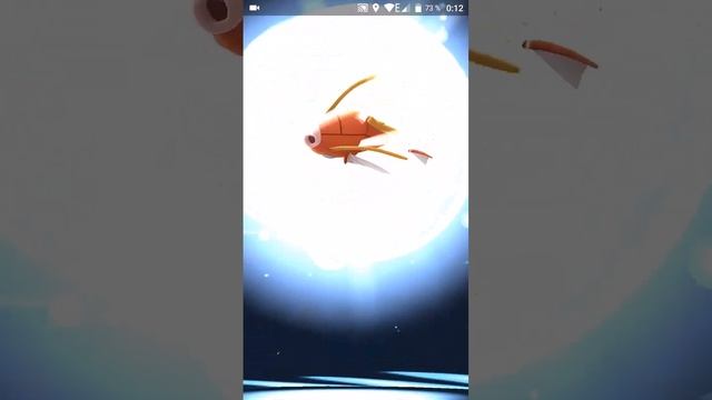 Эволюция Мэджикарпа в Гярадоса / The Evolution of Magikarp in Gyarados