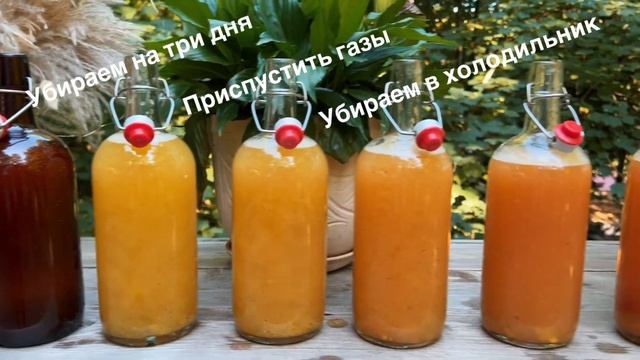Готовим Энзимы Дома с Кириллом Серебрянским 24 сентября 2023 г.