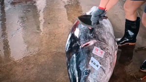 Разделка Голубого ТУНЦА, Суши из Тунца ОТОРО / Японская КУХНЯ...