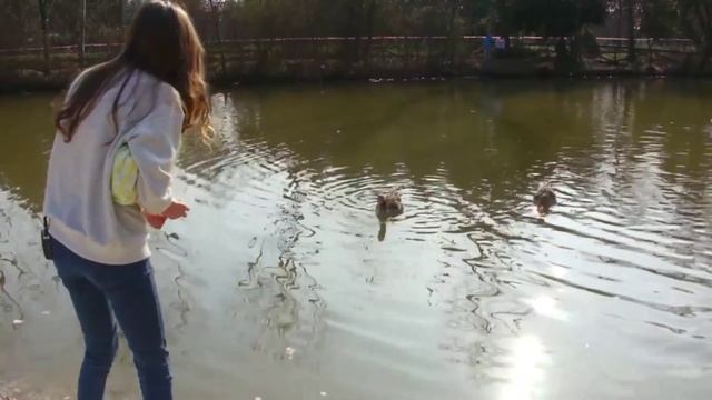Стримерша Карина Взорвала Гусей Шок (18+)