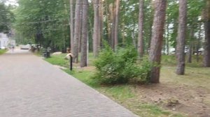 Скандинавский парк Отель  Еловое июль 2023