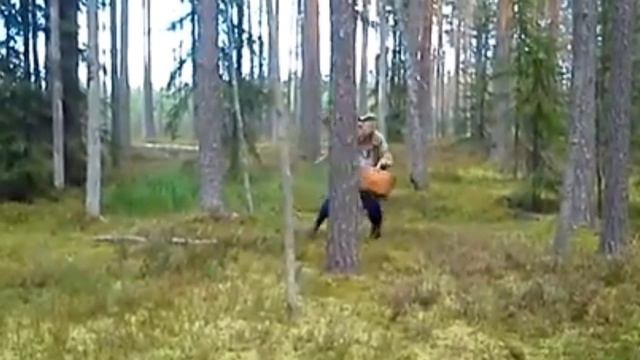 Грибник