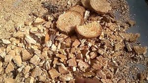 Щепа для копчения своими руками. DIY smoking chips