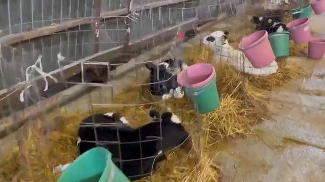 21 августа 2023 г. смотреть онлайн