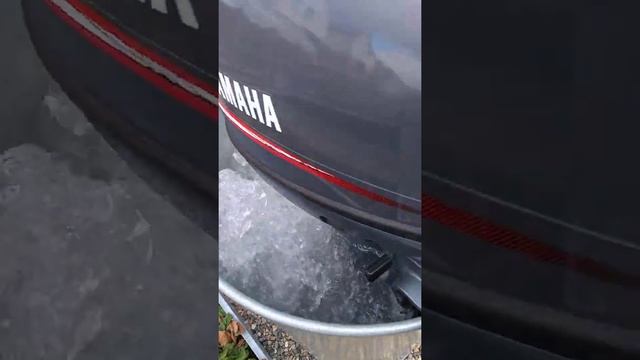 Ямаха 9.9 смотреть онлайн