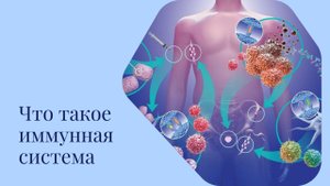 Что такое иммунная система?