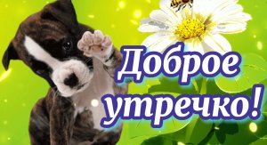 Доброе Утро! ?? Хорошего Дня и отличного настроения! .