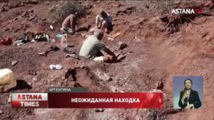 Ученые нашли останки крупнейшего на Земле динозавра