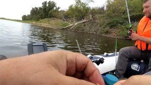 Бортовая донка, ловля с лодки,чехонь атаковала щука.