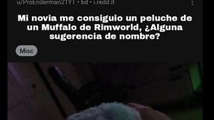 Posts randoms del Reddit de Rimworld