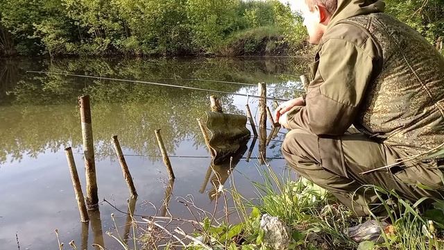 К ТАКОМУ я не был готов! РЫБАЛКА в КУРСКОЙ области. Поплавочка на КАРПА.