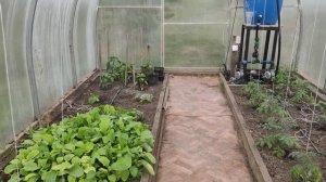 Умная теплица