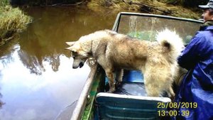 Сузуки дт9.9-15а и м/лодка Крым.