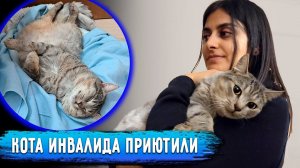 Чака пожалела и приютила семья из Питера. Вся история Чака, от спасения, реабилитации и до отправки.