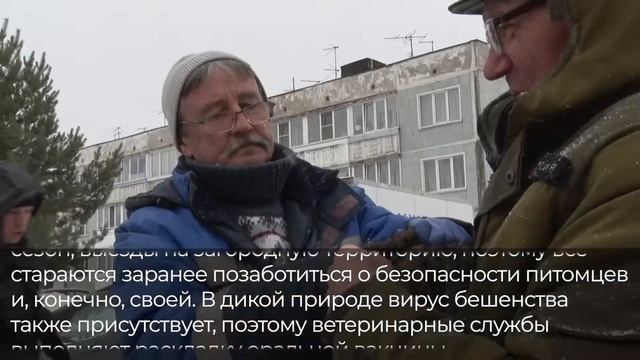 В Кирове работают мобильные ветеринарные пункты смотреть онлайн