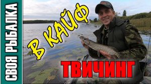 Твичинг в кайф!