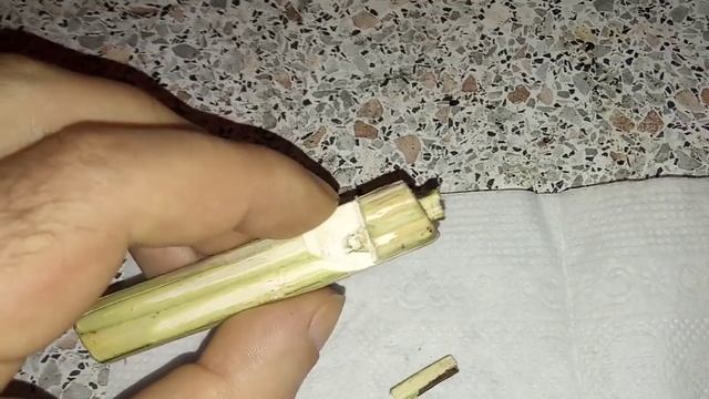 КАК СДЕЛАТЬ СВИСТОК ИЗ ИВЫ СВОИМИ РУКАМИ.Самодельный свисток.Самоделки из ивы смотреть онлайн