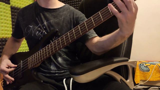 RATM Killing in the Name of - Custom Bass cover смотреть онлайн
