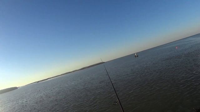 Ловим судака на красную сороконожку. 2 часа рыбалки!!! смотреть онлайн