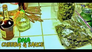 DNA x Will UFO Latham(12.13) - Cheeba & Sauce (2014)