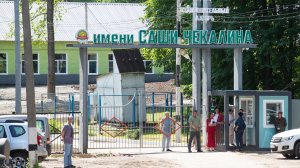 Массовое отравление детей в пионерском лагере под Тулой, возбуждено уголовное дело