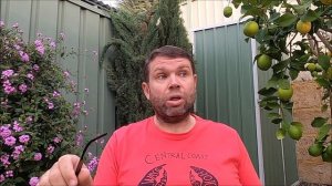 Тайная цель похода АБВГАТа на заимку Агафьи Лыковой