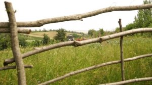 Гогал Выпечка Азербайджанская Кухня Деревенская Кухня  Рецепты