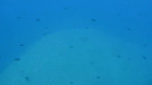 Экскурсия на подводной лодке,Испания.Вид из иллюминатора