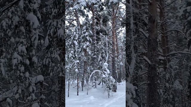 Зимний день 2023 смотреть онлайн