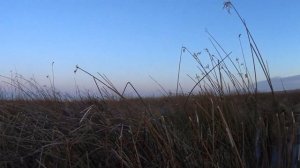 Охота на утку в Казахстане/Чирки на рассвете!!!