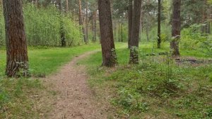 Прогулка по майскому лесу 18.05.2022