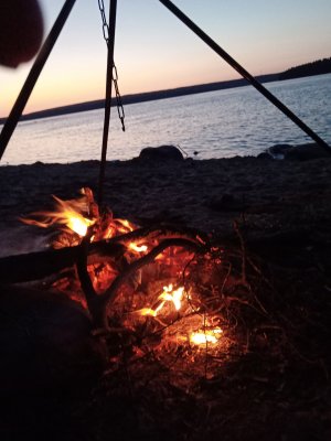 Лосево отдых 2023