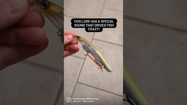 This lure has a special sound that drives fish crazy!