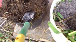 Калийное удобрение для подкормки огурцов. Удобрение из зеленной массы сорняков и золы