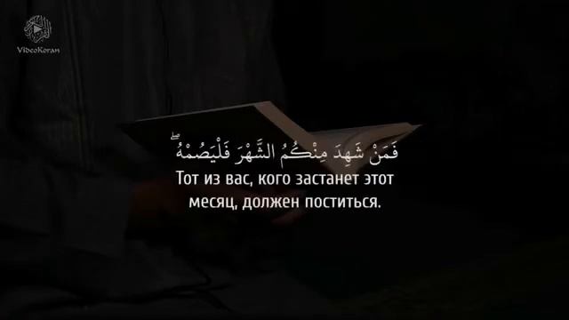 Анас аль-Имади - аяты про Рамадан ( Красивое чтение Корана )