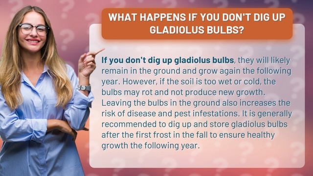 What happens if you don't dig up gladiolus bulbs? смотреть онлайн