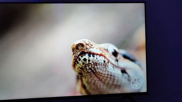 TV HISENSE 43A6BG (LED - 43'' - 109 cm - 4K Ultra HD - Smart TV) смотреть онлайн