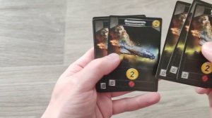 Демонстрация игровых компонентов настольной игры "Звездные империи" (подарочное издание)