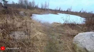 Я был прав! Уровень воды в прудах на даче. Выкопанный и почищенный пруды/ Свой пруд на участке