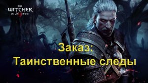 Заказ: Таинственные следы. The Witcher 3 Wild Hunt.