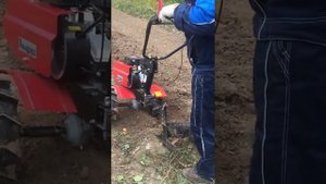 Мотоблок Авангард Кадви