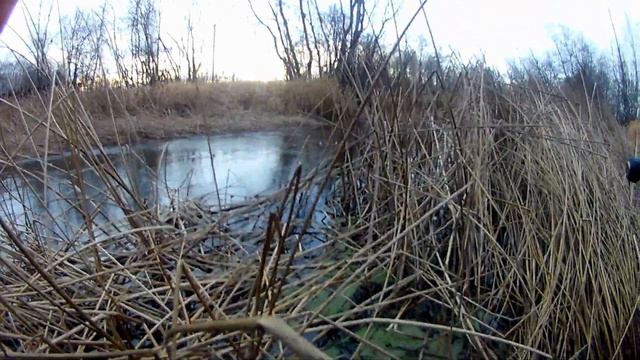 Рыбалка на спиннинг осенью на джеркбейты . Рыбалка в Эстонии 2019 . смотреть онлайн