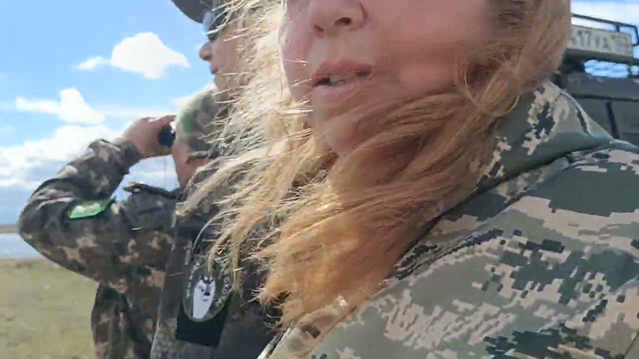 увидели косуль и лебедей смотреть онлайн