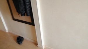 Мой номер санаторий красноярское загорье 3 мая 2021 год