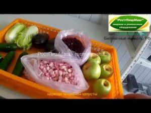 Машина резки кубиком овощей-фруктов CHD-100 от РостПищМаш