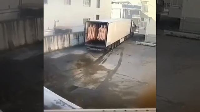 Рефрижератор сложился