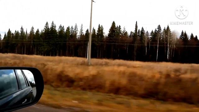 #жизньвроссии #дача Поздняя #Осень.На #дачу